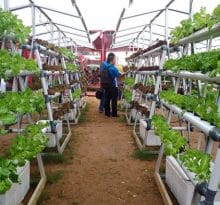 Siapkan Peralatan Berikut Ini Sebelum Mulai Berkebun